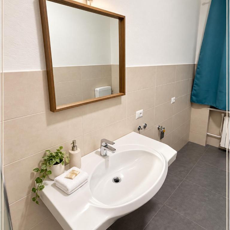 Sc Residence Parma - Camera Matrimoniale Standard con Bagno in Comune - 7