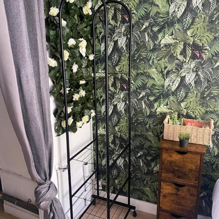 Le Tropical, Proche Centre, Place St Marc et CHU - Appartement 1 Chambre - 5