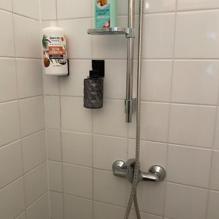 Le Tropical, Proche Centre, Place St Marc et CHU - Appartement 1 Chambre - 11