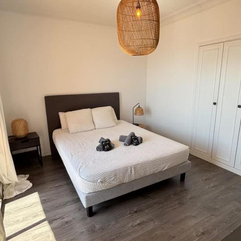 Casamea - T2, Vue Mer, Terrasse, Sanguinaires - Appartement - 21