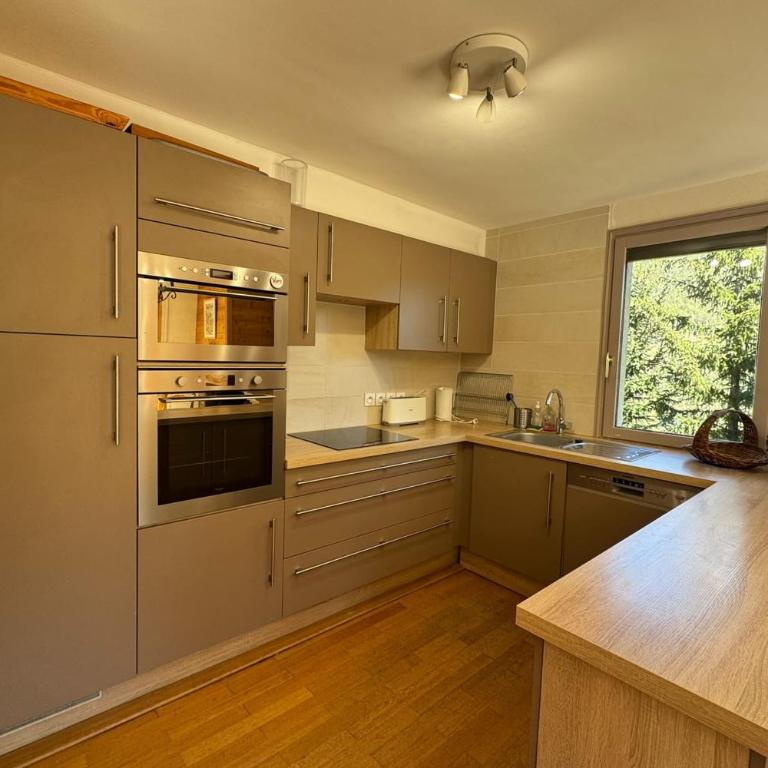 Duplex 8 pers - Vue montagne - Balcon sud - Pistes à 100 m - Appartement - 2