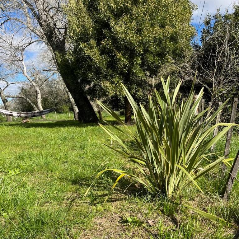 Refugio de Campo con Gran Parque y Quincho A 15 min de Pinamar - Casa de 2 dormitorios - 3