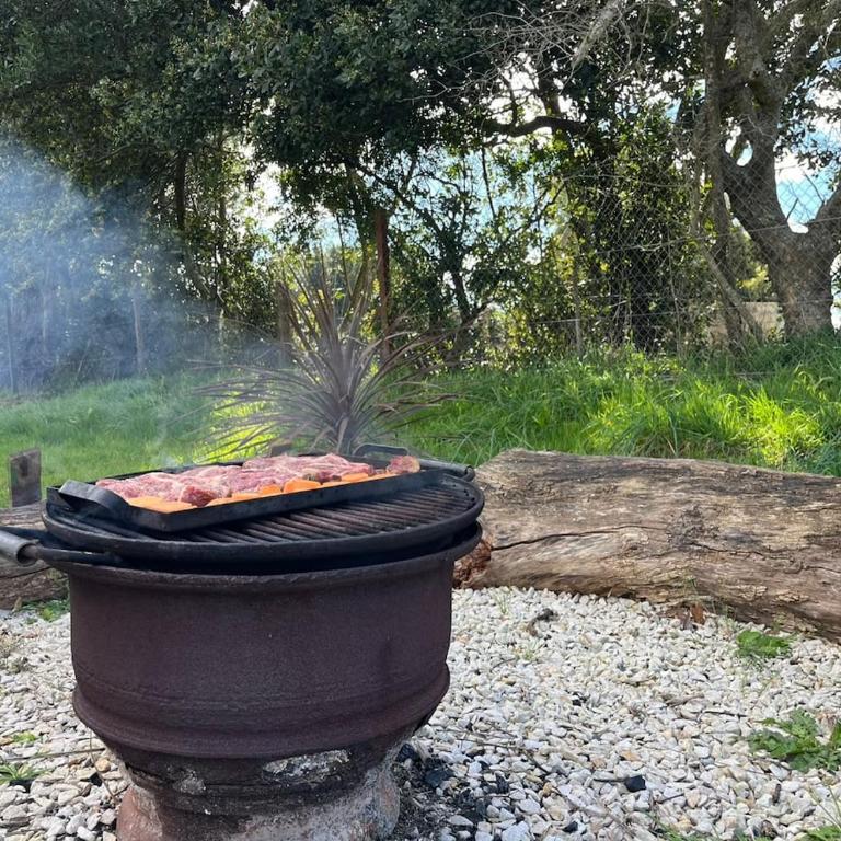 Refugio de Campo con Gran Parque y Quincho A 15 min de Pinamar - Casa de 2 dormitorios - 9