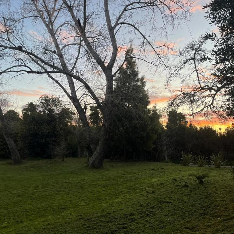 Refugio de Campo con Gran Parque y Quincho A 15 min de Pinamar - Casa de 2 dormitorios - 1