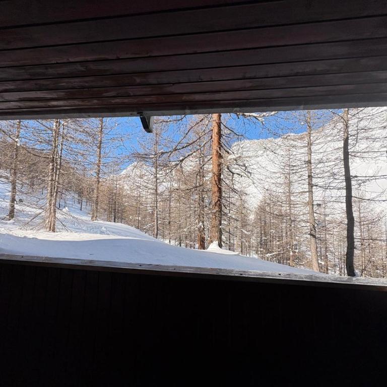 Cervinia Forest Retreat - Casa de 3 dormitorios - 1