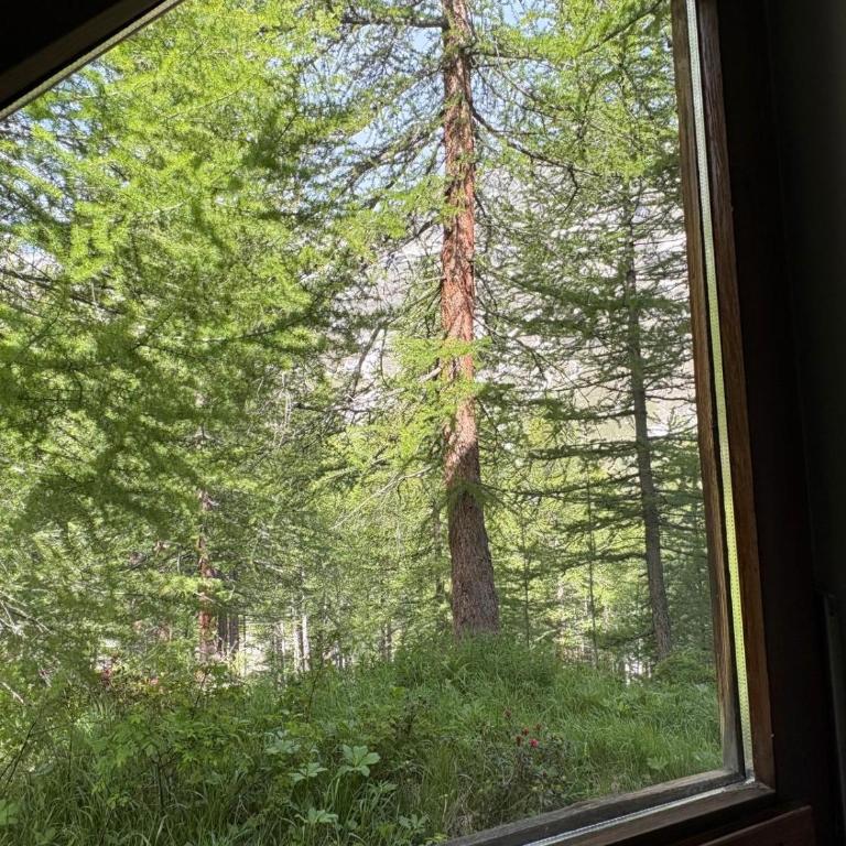 Cervinia Forest Retreat - Casa de 3 dormitorios - 4