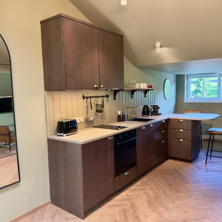 Villa Wickenburg - One-Bedroom Premium Apartment - 4