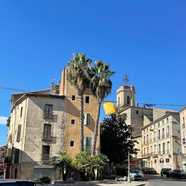 TRES CONFORTABLE DUPLEX au COEUR DE PEZENAS - Appartement 1 Chambre - 13