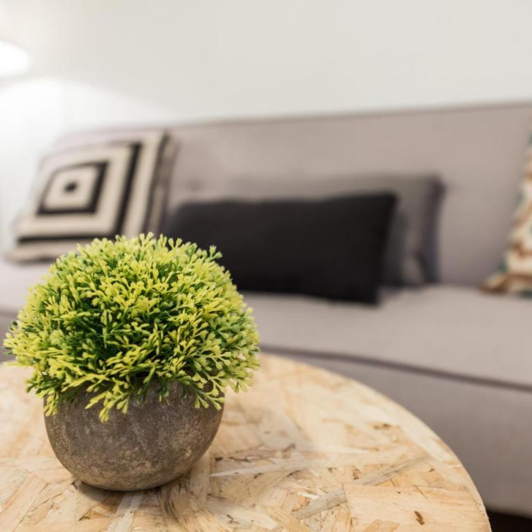 Malasaña con Encanto - Appartement - 13
