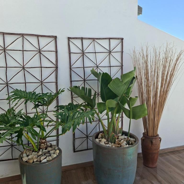 villa sabida, Lanzarote - Villa con piscina privada - 30