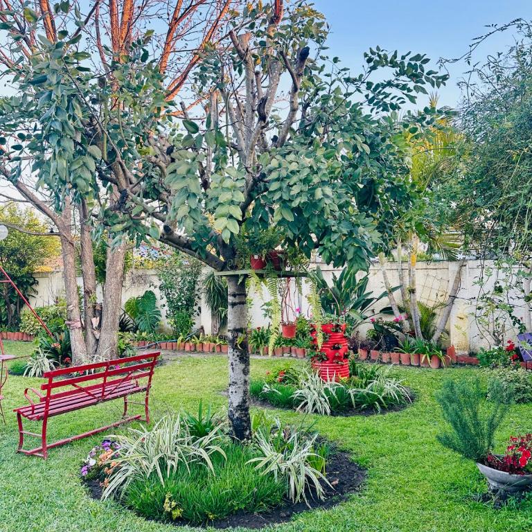 Las orquídeas - One-Bedroom Apartment - 47