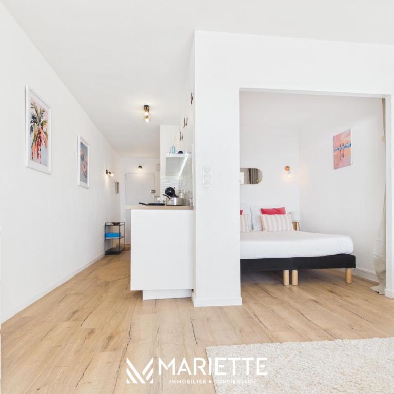 -CORAIL- Studio vue mer, balcon & parking a Concancarneau - Studio - Vue sur Mer - 18