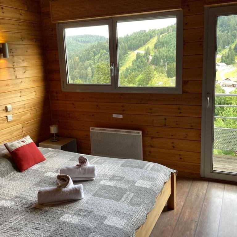 Chalet Oxyzen 14 pers à Gérardmer spa sauna billard - Maison de Vacances - 15
