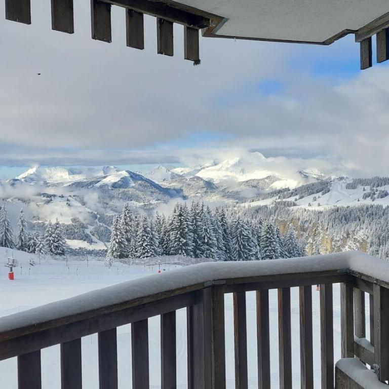 STUDIO CABINE DE CHARME VUE EXCEPTIONNELLE Résidence Malinka skis aux pieds proche parking - Appartement 1 Chambre - 9