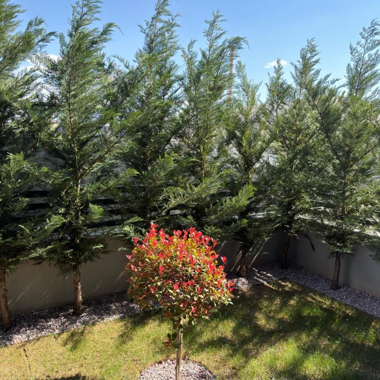 Premium apartment Maxim - Apartment mit 1 Schlafzimmer - 14
