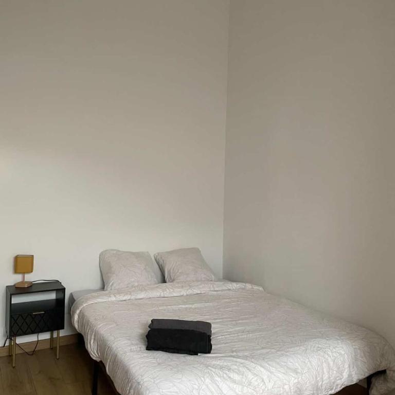 Appartement 3 chambres Orléans - Appartement 3 Chambres - 24