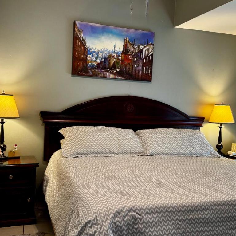 Dickinson Guest House, Guadalajara Expo - Deluxe Queen Room - 34