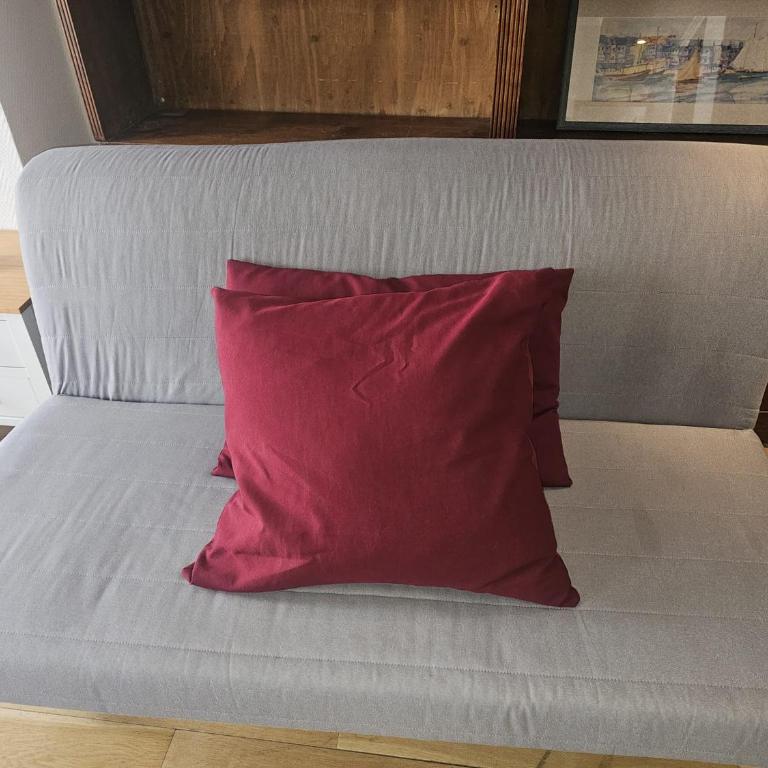 Charming apartment in a very good location - Living room and 1 bedroom - Appartement 1 Chambre - 6