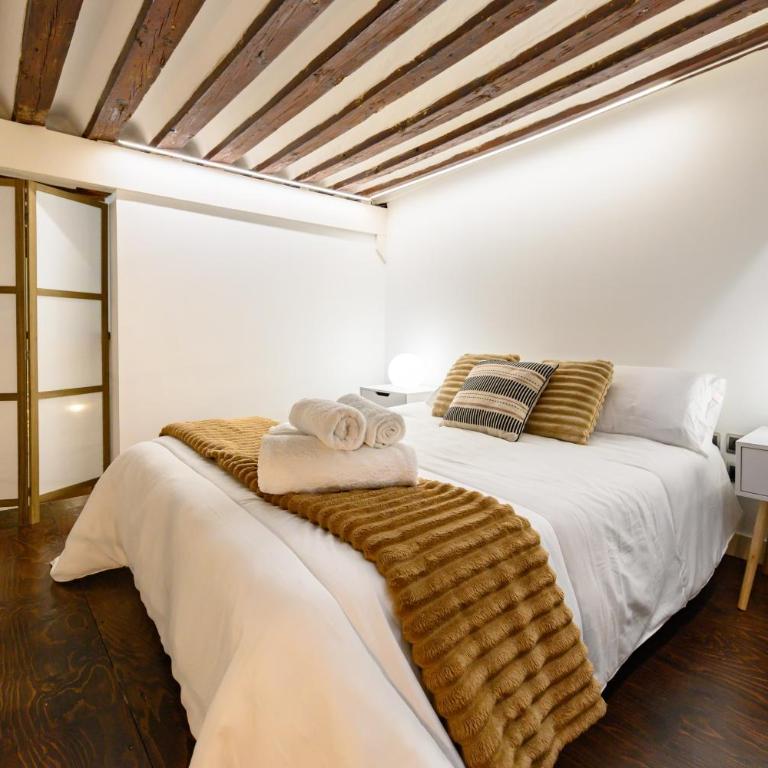 ESA121ID - Amplio Dúplex de 3 dormitorios en el Centro de Madrid - Alquiler temporal - Appartement 3 Chambres - 36