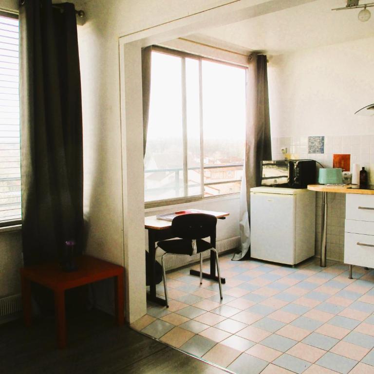 LIMOGES, joli, assansseur, accéss direct CHU, facs, A20 et N141 - Appartement 2 Chambres - Vue sur Jardin - 4