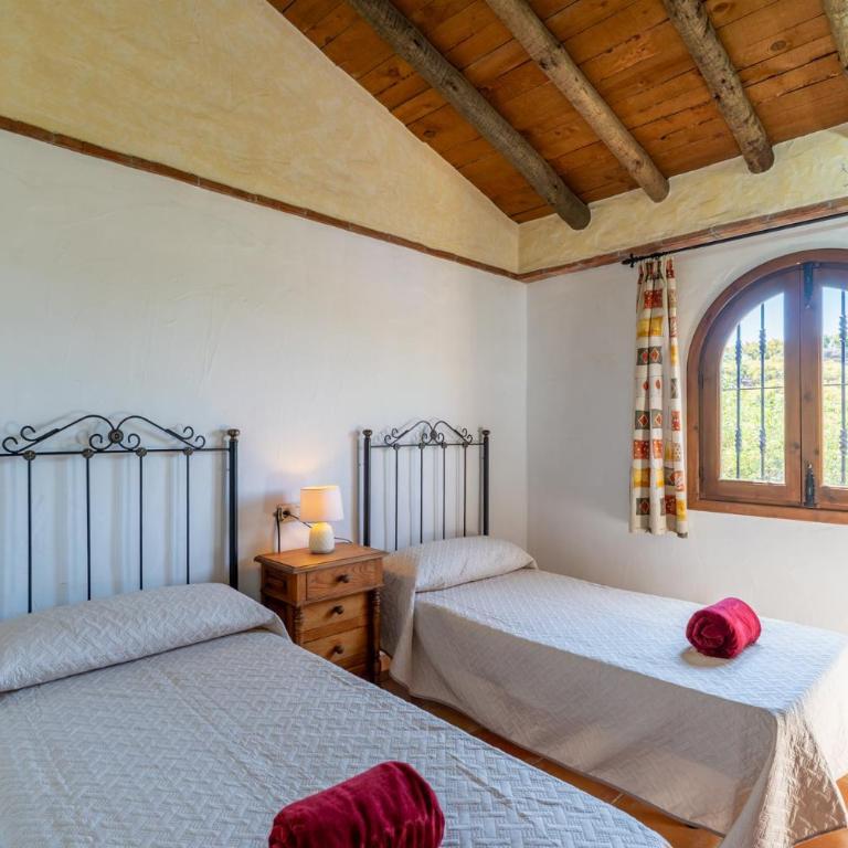 Villa Rosafina - Villa - 15