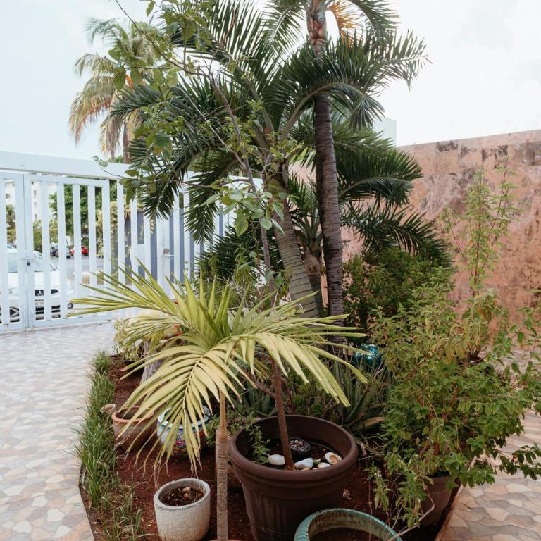 Casa Playa en Zona Hotelera de Cancún - Studio Apartment - 23