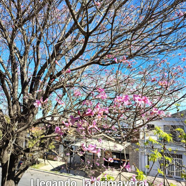 Carrizal - Apartamento de 2 dormitorios con balcón y terraza - 24