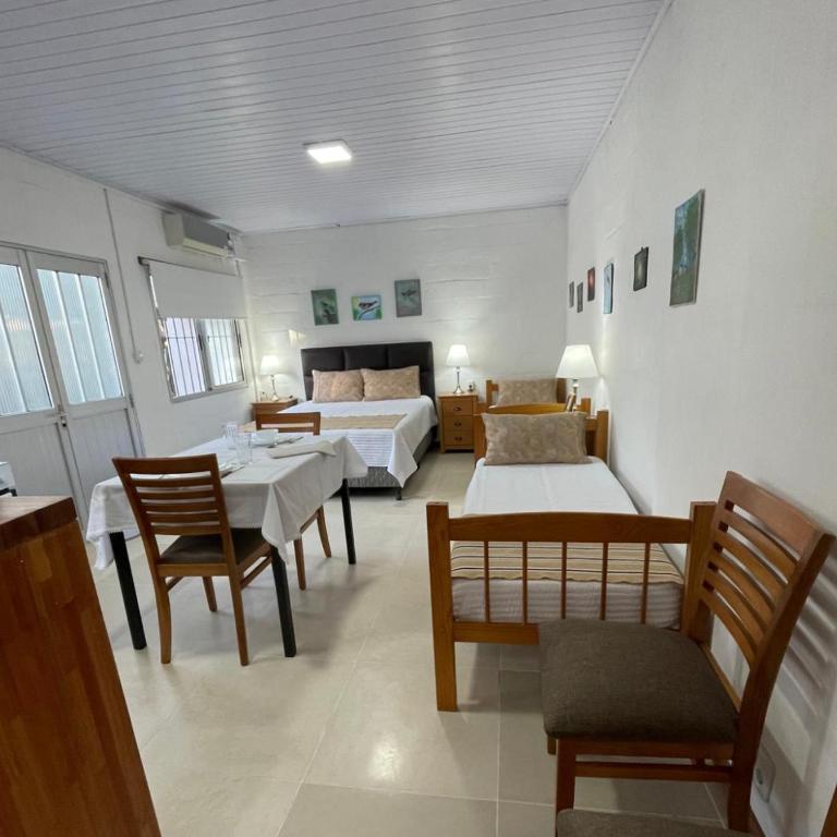 Magnolio - Apartamento de 1 dormitorio - 44