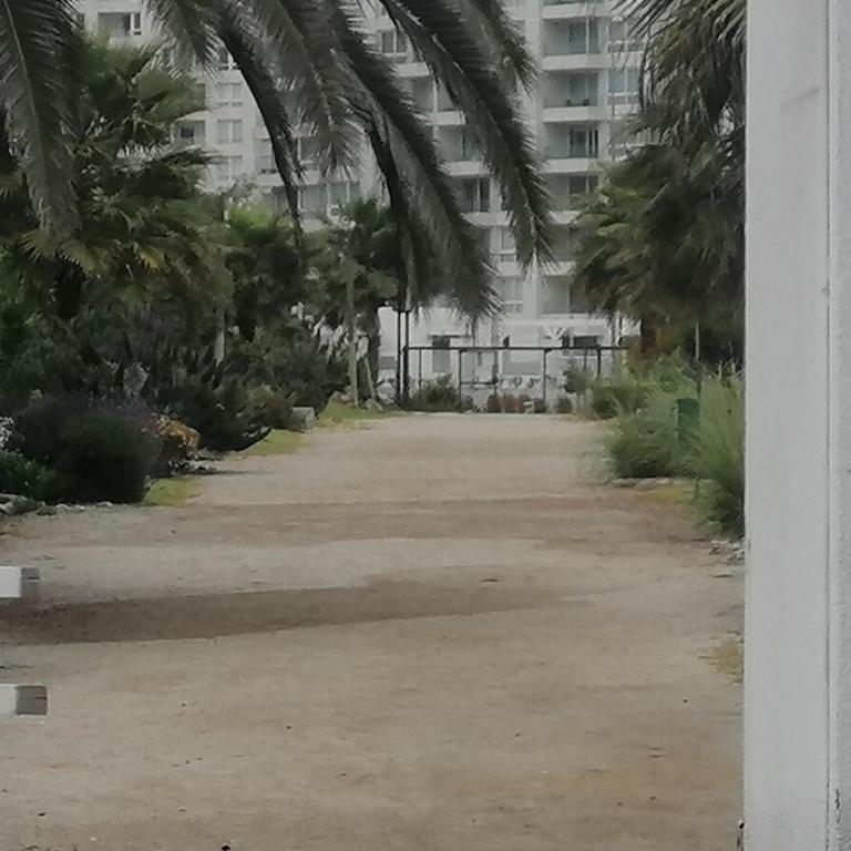 Departamento Coquimbo - Apartamento de 3 dormitorios - 35