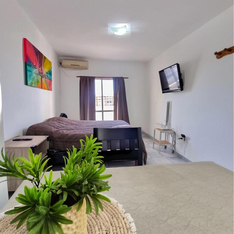 CELESTINA - One-Bedroom Apartment - 1