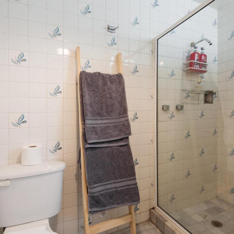 Fancy apartament in Condesa - Apartment - 28