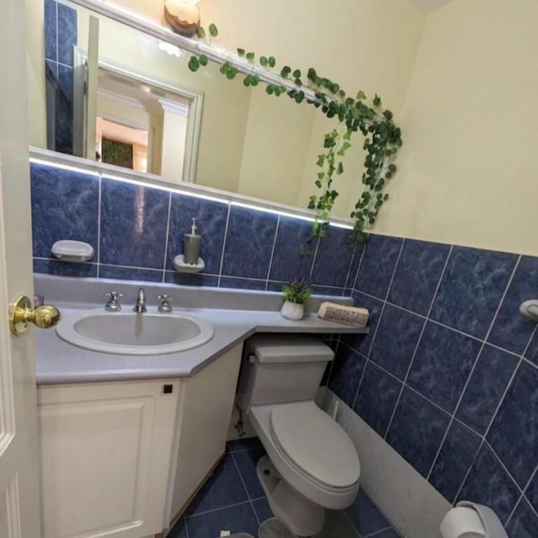 Amplio departamento CENTRO NORTE con PARQUEADERO - Two-Bedroom Apartment - 12