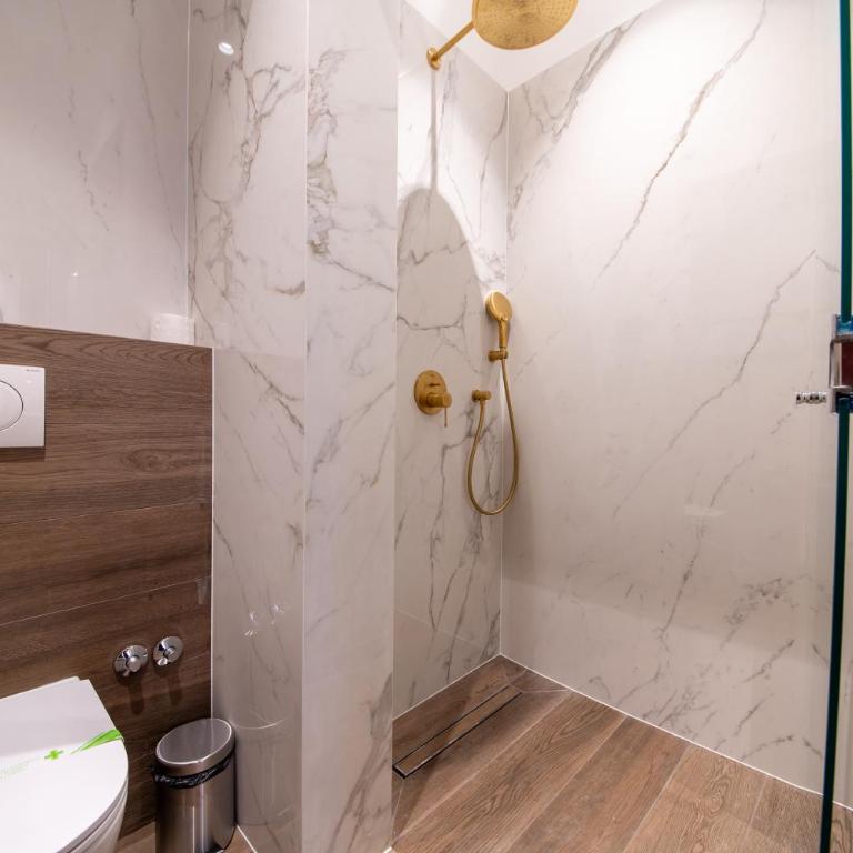 Brajlovic Apartments Katedrala - Appartement 1 Chambre Deluxe - 13