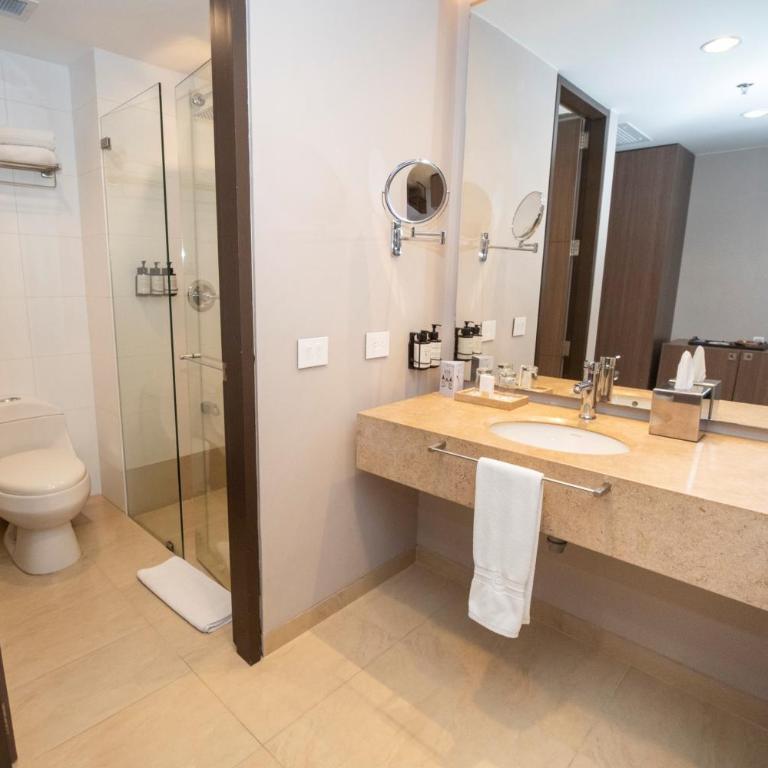 Estelar Villavicencio Hotel & Centro De Convenciones - Double Room - 3