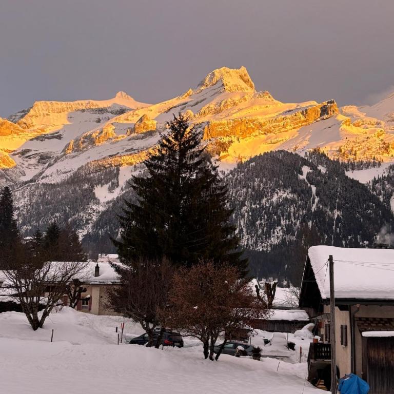 Appartement familial dans Chalet aux Diablerets - Apartment mit 3 Schlafzimmern - 3