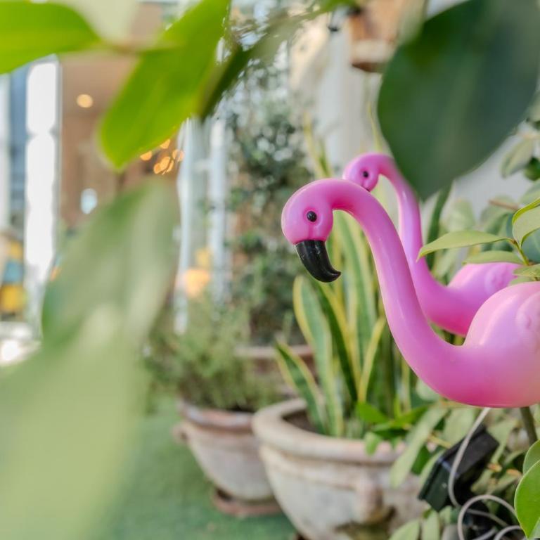 Apartamentos LOLA y MANUELA en primera línea playa Carihuela con excelente Terraza-jardin de 80 m2 frente al Mar con aparcamiento privado Ideal para descansar oyendo las olas del Mar - Appartement 2 Chambres - 4