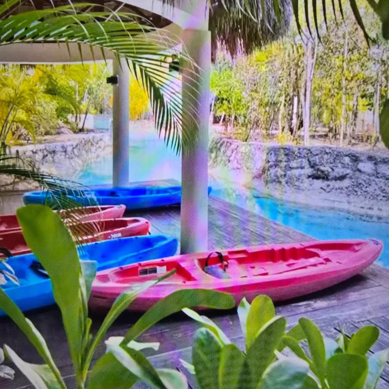 2 bedroom apartment in adorable Playa Del Carmen,Cancun proximity with AC, gym - Apartamento de 2 dormitorios - 3