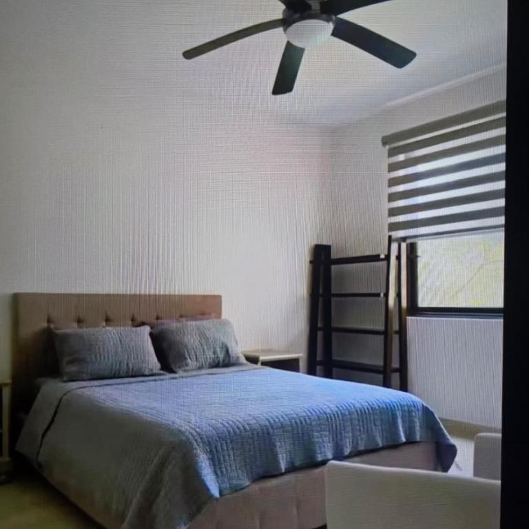 2 bedroom apartment in adorable Playa Del Carmen,Cancun proximity with AC, gym - Apartamento de 2 dormitorios - 13