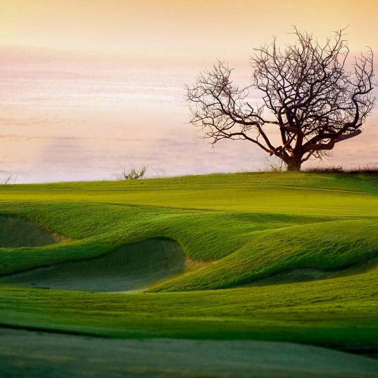 Oceanview 3BR Condominium in Golf Community by The Agency Baja - Apartamento - 5