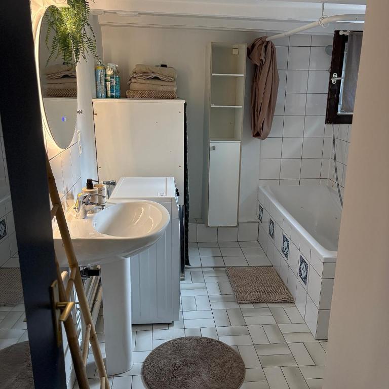 Duplex Alsacien - Appartement 1 Chambre - 6