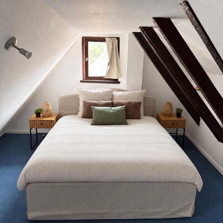 Duplex Alsacien - Appartement 1 Chambre - 4