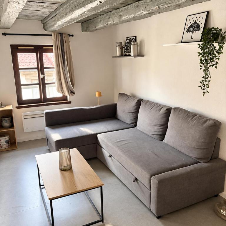 Duplex Alsacien - Appartement 1 Chambre - 2