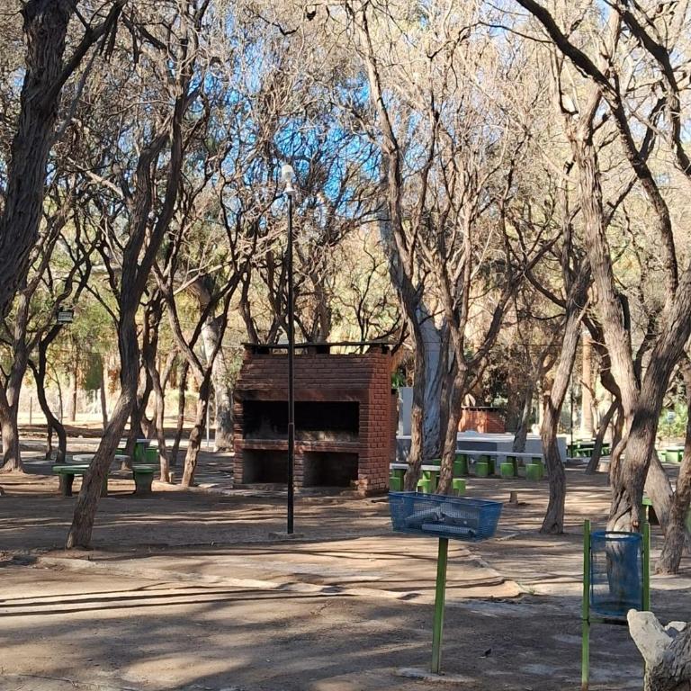 Puente Verde - Apartamento de 1 dormitorio - 23