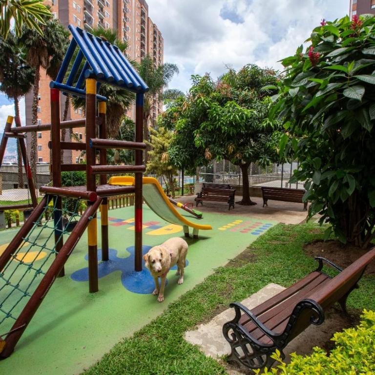 Medellín view loft vista City Pool gym - Apartamento de 3 dormitorios - 17