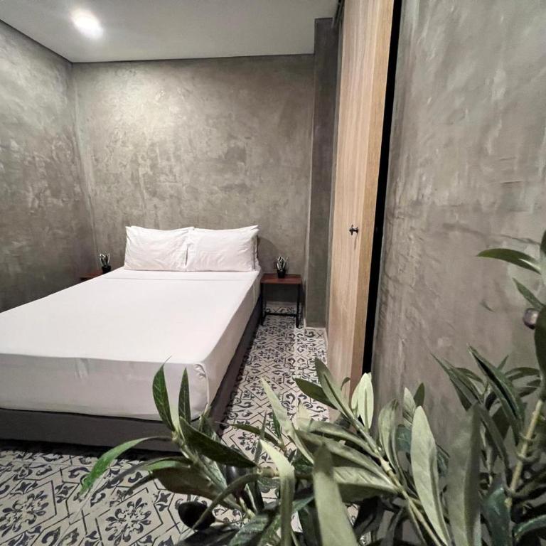 Casa Presentacion Adaz Hotel - Standard Single Room - 1