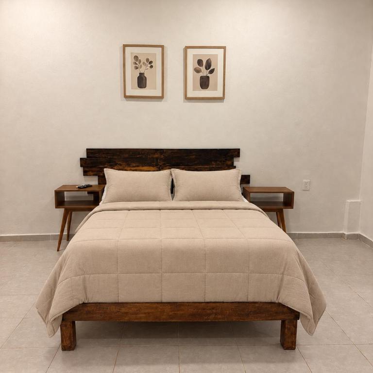 Espacioso loft centrico a unos pasos del ADO - One-Bedroom Apartment - 1