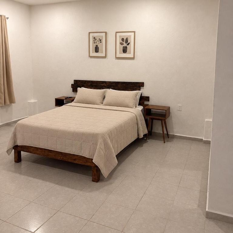Espacioso loft centrico a unos pasos del ADO - One-Bedroom Apartment - 2
