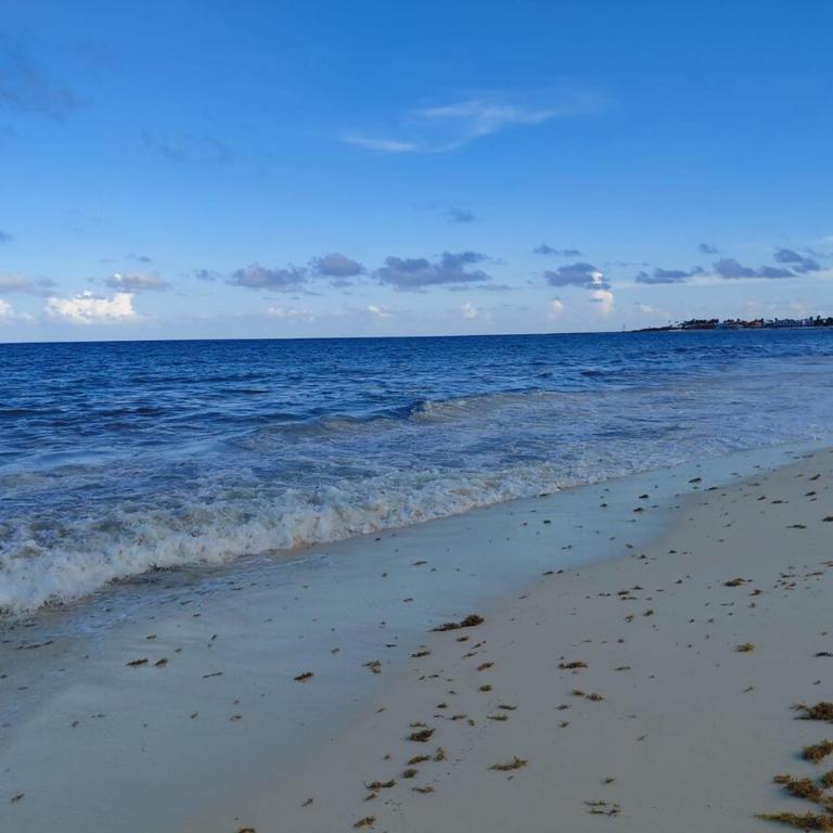 Beautiful Caribbean Ocean View - One-Bedroom Apartment - 17