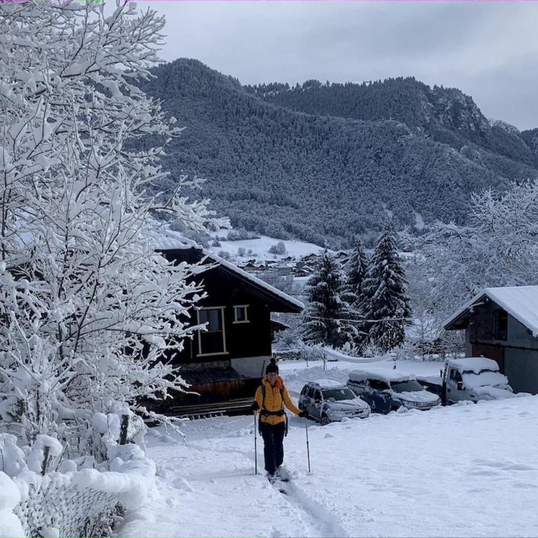 Maison du Bûcheron Vacheresse - Chalet 1 Chambre - 26