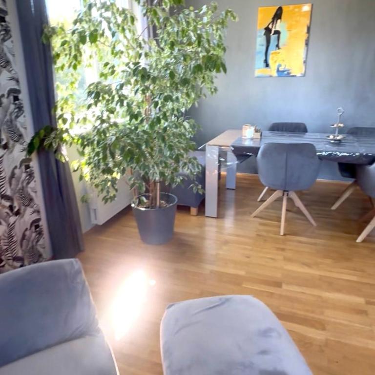 Big Apartment With Balcony - Apartment mit Balkon - 2
